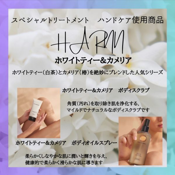 夏季メニュー使用商品🌿 画像